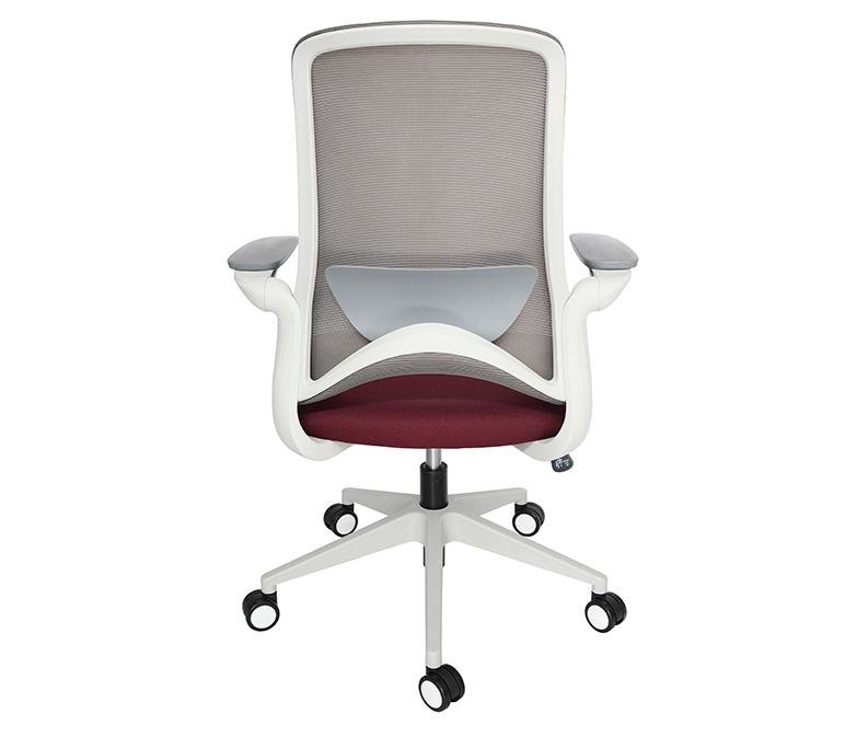 OHE-111GRIS DOLPHIN